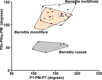 Fig. 10