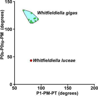 Fig. 12