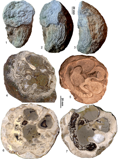 Fig. 23