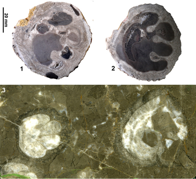 Fig. 26