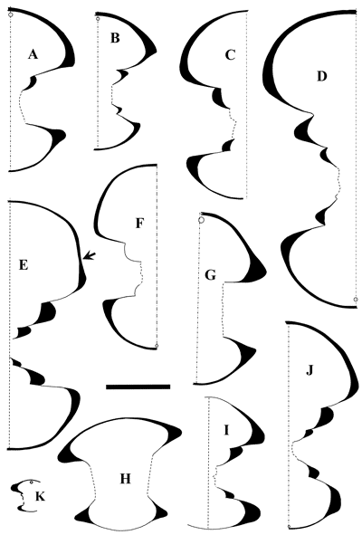 Fig. 10