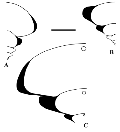 Fig. 11