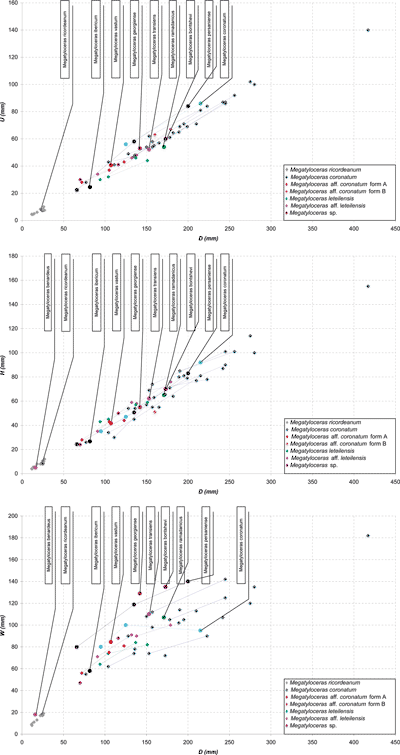 Fig. 12