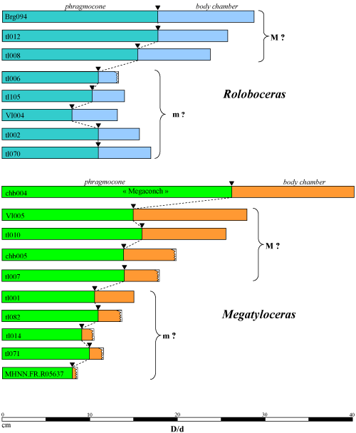 Fig. 17