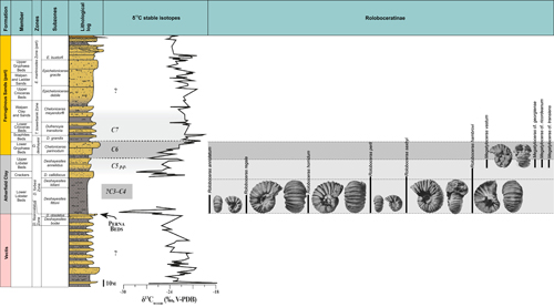 Fig. 18