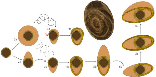 Fig. 5
