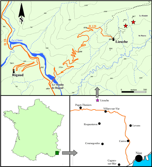 Fig. 1