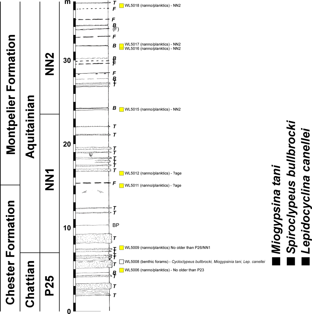Fig. 9