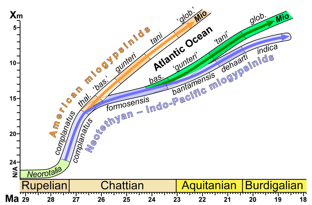 Fig. 17