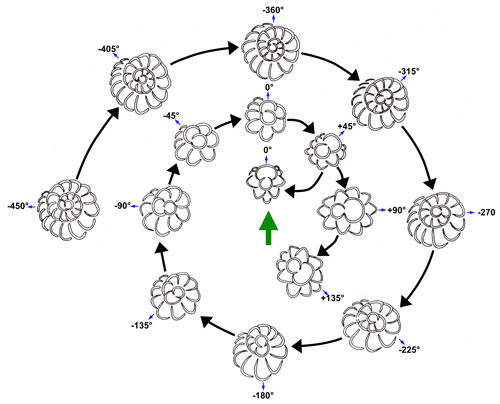 Fig. 2