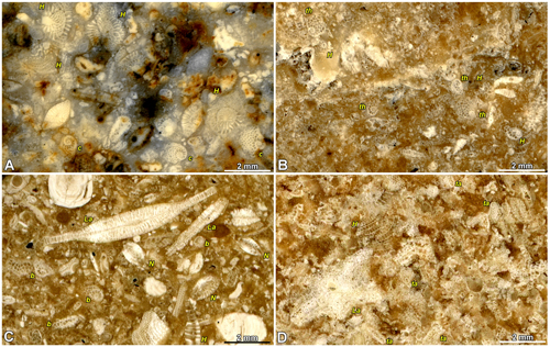 Fig. 6