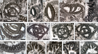 Fig. 14