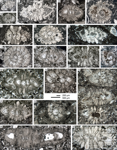 Fig. 15
