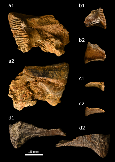 Fig. 4