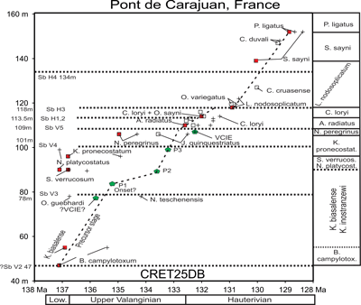 Fig. 10