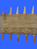 CG2613