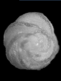 CG2611